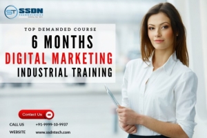 Digital Marketing Industrial Training in Noida